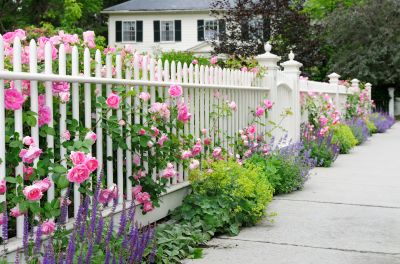 Charming Picket Fence